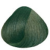 116M Verde