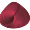 6.66 Rojo Vino